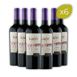 x6 Kaéri Carmenere