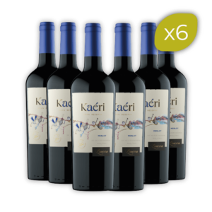 x6 Kaéri Merlot