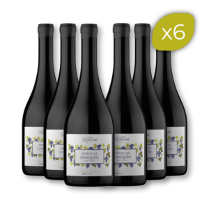 x6 País 2021