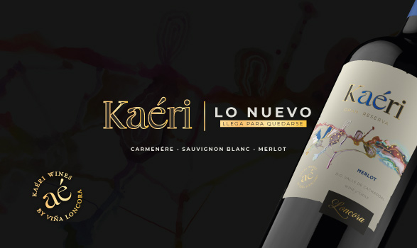 SLIDEr_KAERI